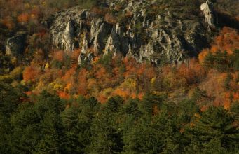 Küre Dağları Milli Parkı – Flora & Fauna