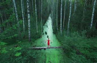 Ormansızlaşma ve Çölleşme