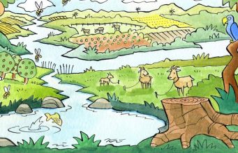 Ekosistem Hizmetleri Nelerdir?