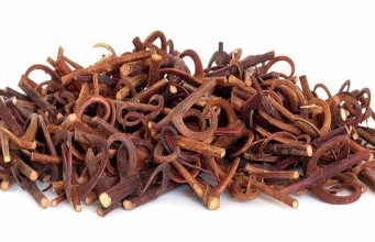 Kedicik Bileği Kabuğu