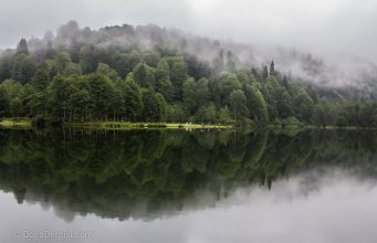 Temiz Hava ve Bağışıklık: Doğanın İyileştirici Gücü
