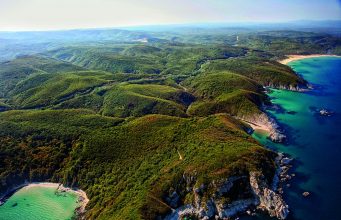 Karadeniz’de Yetişen Ağaç Türleri