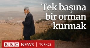 Tek Başına Orman Yaratmak Mümkün mü? Şeyhmus Amca’nın Hikayesi