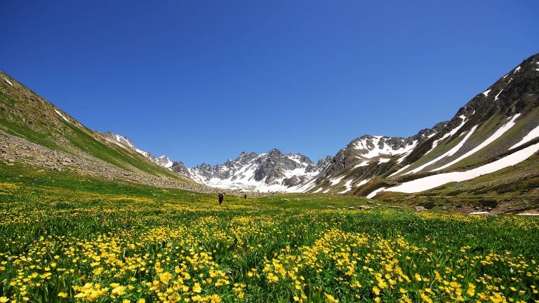 Kaçkar Dağları Milli Parkı