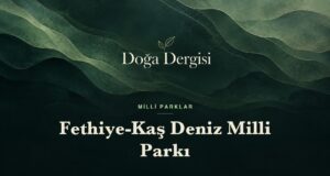 Fethiye-Kaş Deniz Milli Parkı: Türkiye’nin Akdeniz’deki İlk Deniz Milli Parkı Fethiye-Kaş Deniz Milli Parkı – Doğa Dergisi