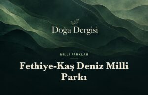 Fethiye-Kaş Deniz Milli Parkı: Türkiye’nin Akdeniz’deki İlk Deniz Milli Parkı Fethiye-Kaş Deniz Milli Parkı – Doğa Dergisi
