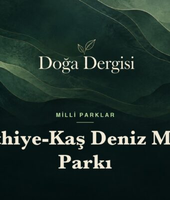 Fethiye-Kaş Deniz Milli Parkı – Doğa Dergisi