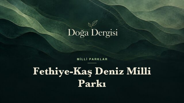 Fethiye-Kaş Deniz Milli Parkı – Doğa Dergisi