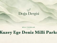 Kuzey Ege Deniz Milli Parkı: Gökçeada’nın Sularında Yeni Dönem Kuzey Ege Deniz Milli Parkı – Doğa Dergisi
