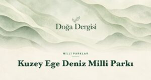 Kuzey Ege Deniz Milli Parkı: Gökçeada’nın Sularında Yeni Dönem Kuzey Ege Deniz Milli Parkı – Doğa Dergisi