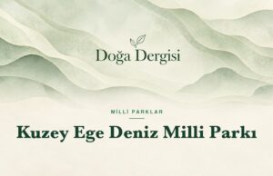 Kuzey Ege Deniz Milli Parkı: Gökçeada’nın Sularında Yeni Dönem Kuzey Ege Deniz Milli Parkı – Doğa Dergisi