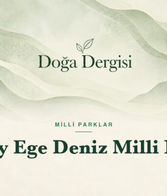 Kuzey Ege Deniz Milli Parkı – Doğa Dergisi
