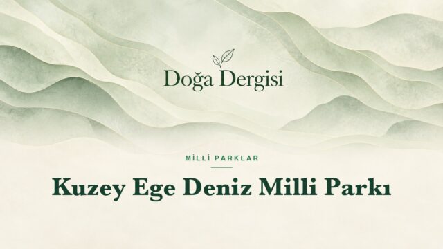 Kuzey Ege Deniz Milli Parkı – Doğa Dergisi