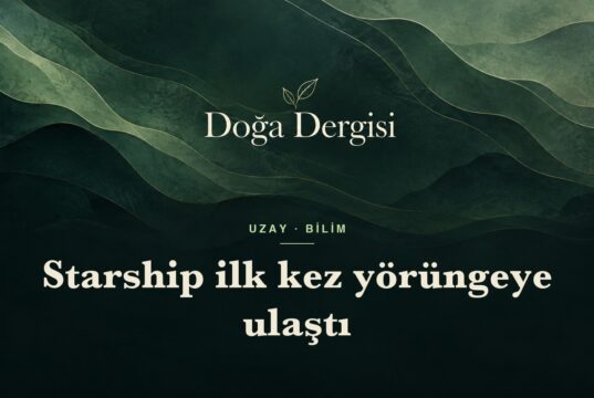 Starship ilk kez yörüngeye ulaştı: 14. uçuşta tarihi dönüm noktası Starship ilk kez yörüngeye ulaştı – Doğa Dergisi