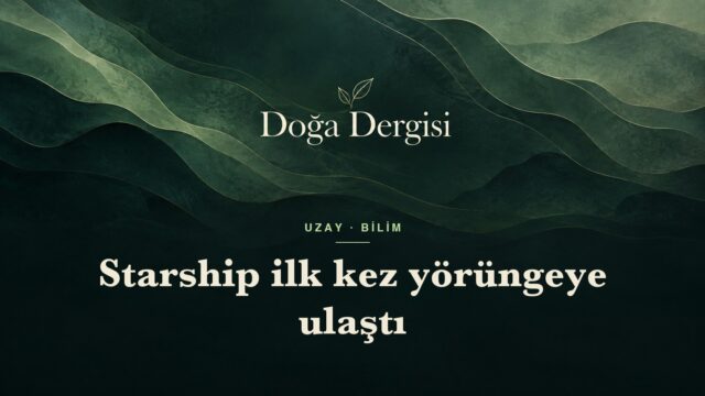 Starship ilk kez yörüngeye ulaştı – kapak Starship ilk kez yörüngeye ulaştı – Doğa Dergisi