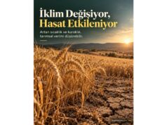 İklim Değişikliği ve Düşen Tarım Verimi: Pazar tezgahlarındaki fiyatların tek nedeni