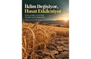 İklim Değişikliği ve Düşen Tarım Verimi: Pazar tezgahlarındaki fiyatların tek nedeni İklim Değişikliği ve Düşen Tarım Verimi: Pazar tezgahlarındaki fiyatların tek nedeni