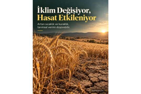 İklim Değişikliği ve Düşen Tarım Verimi: Pazar tezgahlarındaki fiyatların tek nedeni