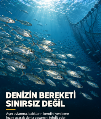 Aşırı Balık Avlanması: Denizler Neden Boşalıyor?