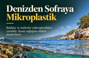 Deniz Ürünlerinde Mikroplastik: Bilmemiz Gerekenler
