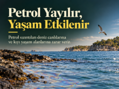 Petrol Sızıntıları Deniz Ekosistemine Nasıl Zarar Veriyor?